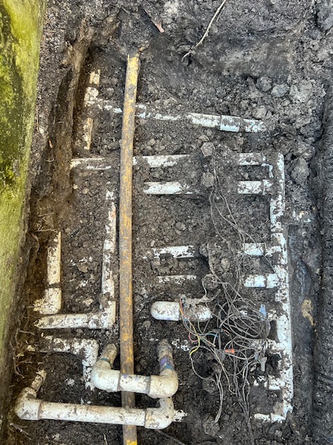 Before image
