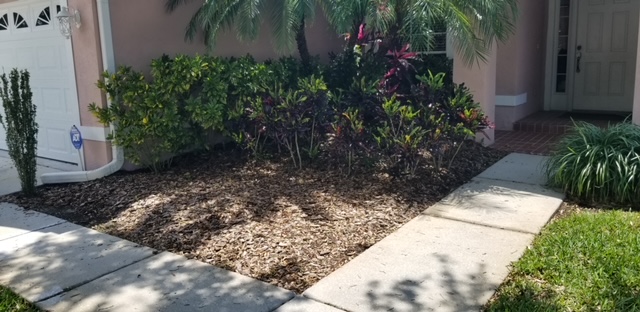 Before image