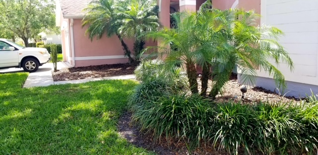 Before image