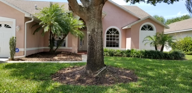 Before image