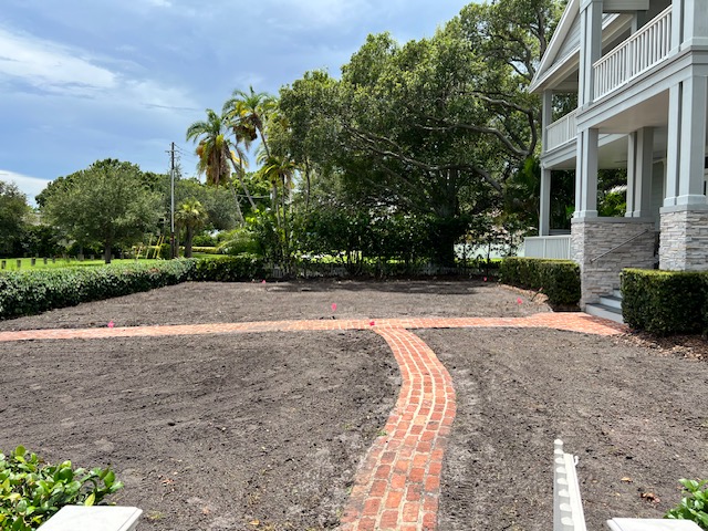 Before image