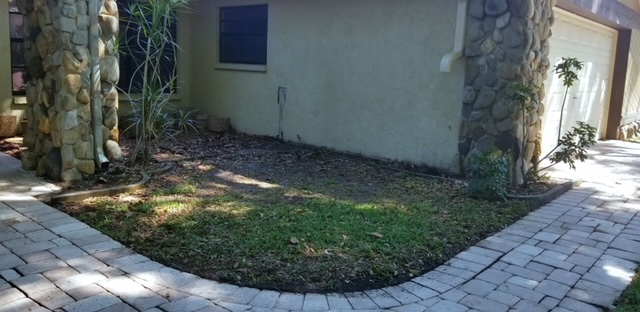 Before image