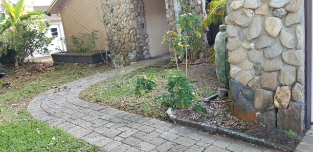 Before image