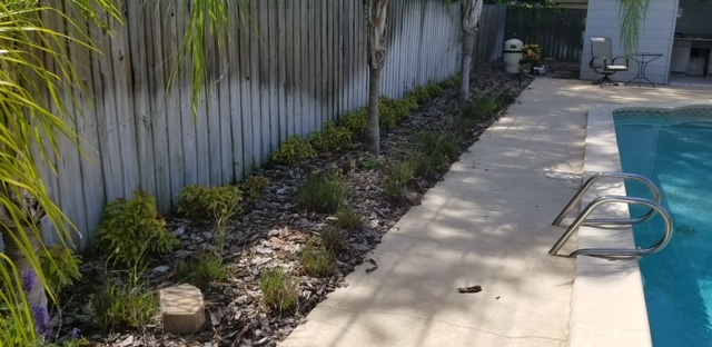 Before image