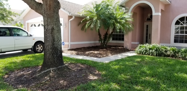 Before image
