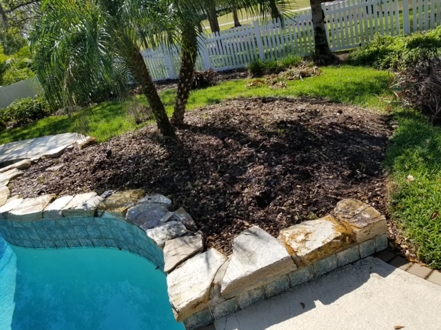 Before image