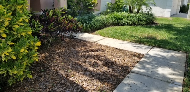 Before image