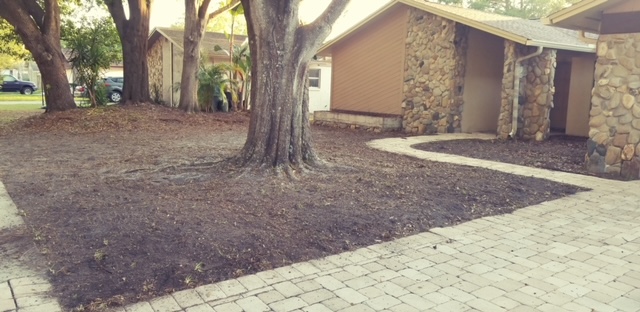 Before image