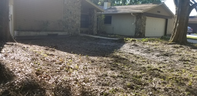 Before image