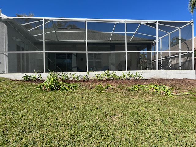 Before image