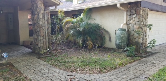 Before image