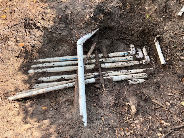 Before image