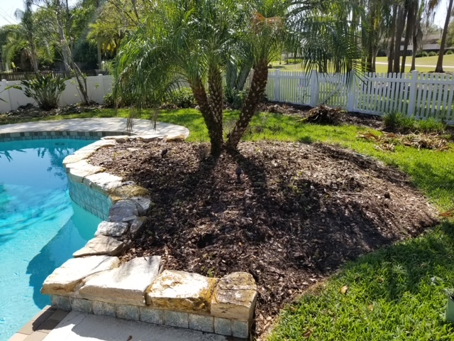 Before image