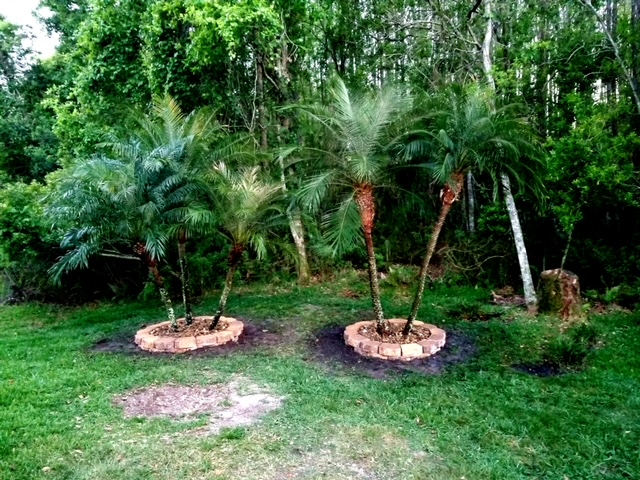 After image