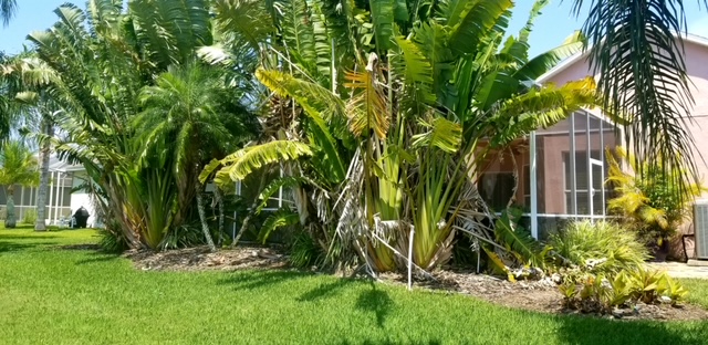 Before image