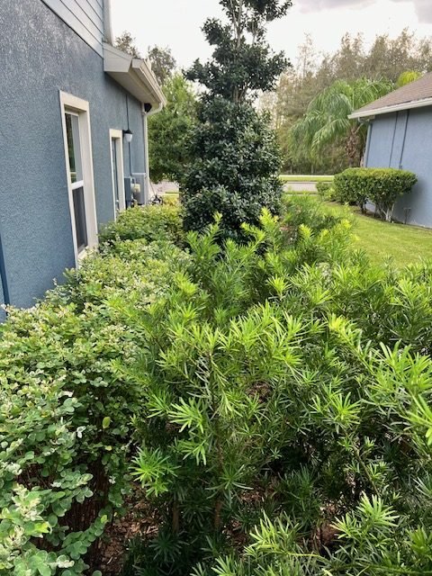 After image