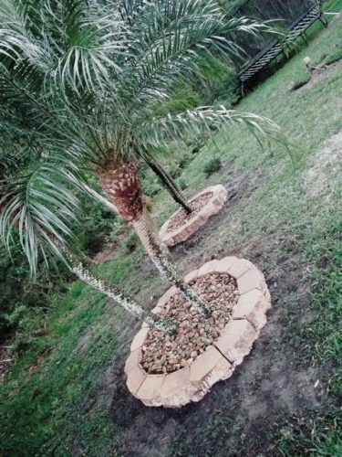 image8